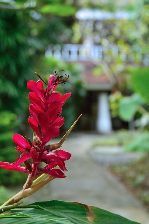 Desa Nyima Hotell Seminyak Exteriör bild